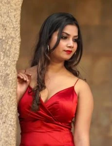 call girl service in Rajgarhi